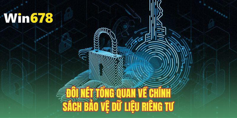 Đôi nét tổng quan về chính sách bảo vệ dữ liệu riêng tư